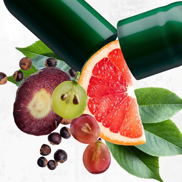 Phyto Complete Saszetka 60 kapsułek